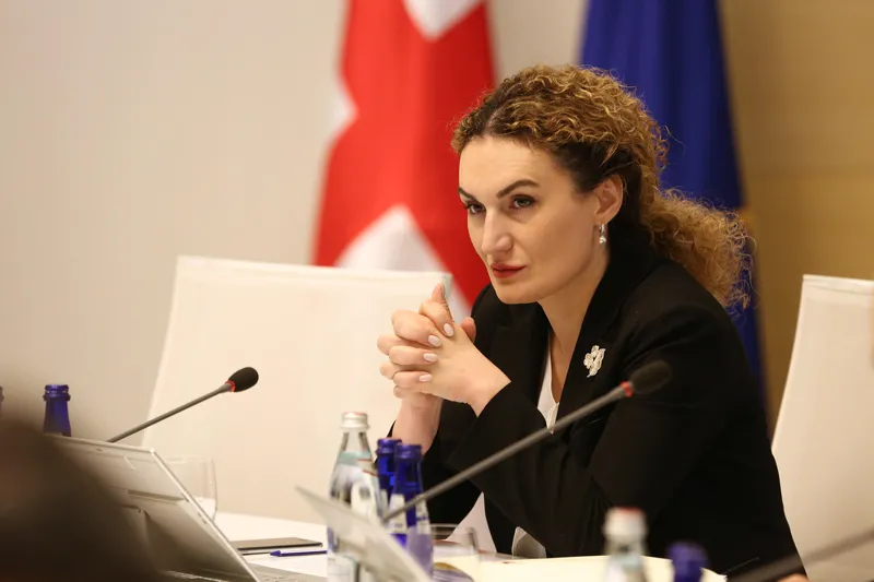 Ketevan Tsikhelashvili responds to Sokhumi developments