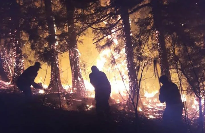 According to the de facto authorities, the fire in Gali has been extinguished; in addition to the forest massive, three houses have been burnt