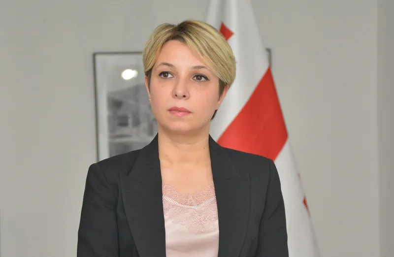 ნინო ლომჯარიას ინფორმაციით, ოპოზიციური პარტიის წარმომადგენლები აქტივისტების მიმართ პირადი ცხოვრების კადრებით შანტაჟზე საუბრობენ