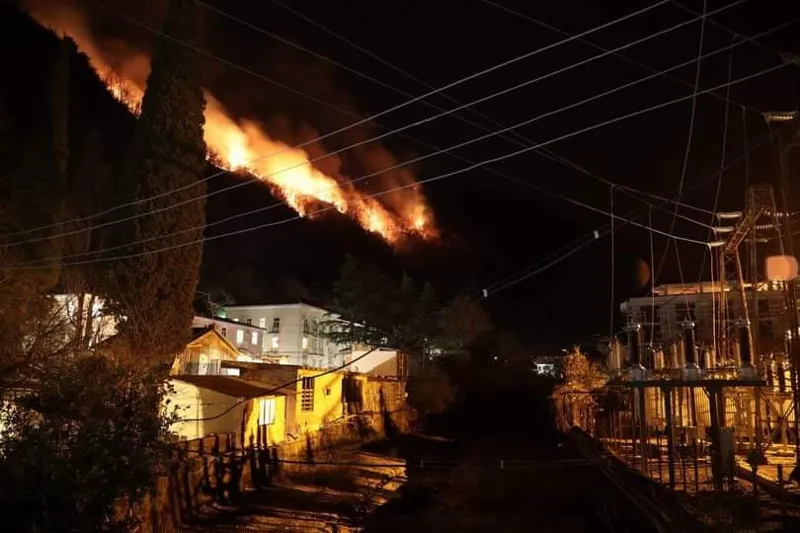 ოკუპირებული აფხაზეთის ტერიტორიაზე ხანძრის ახალი კერები ჩნდება