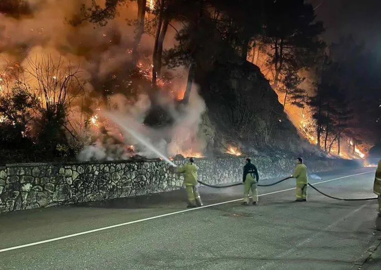 De facto government: There is a new fire outbreak in Old Gagra area, rescuers and locals are trying to put out the fire