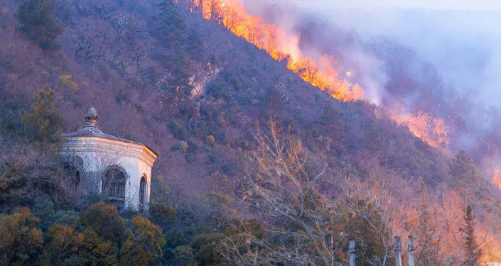Gagra still fights against fire in forest