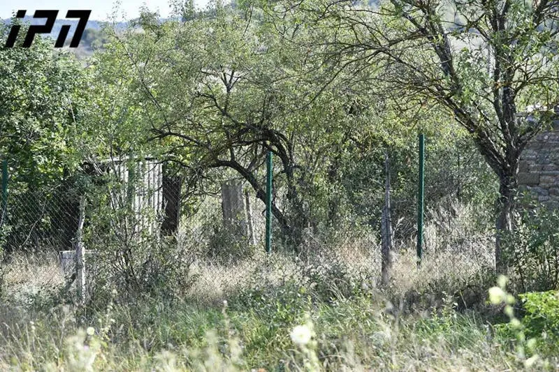 State Security Service says Russian occupation forces illegally detained two Georgian citizens near occupied village of Lopani
