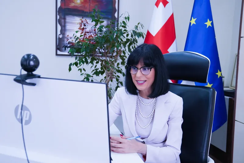 თეა ახვლედიანმა ევროკავშირის სპეციალურ წარმომადგენელ ტოივო კლაართან დისტანციური შეხვედრა გამართა