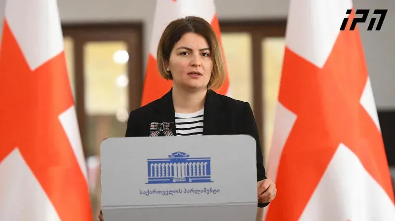 Ana Natsvilishvili: The past has won in the National Movement - we do not see the purpose of cooperation with a party, the results of which show that it is returning to the past