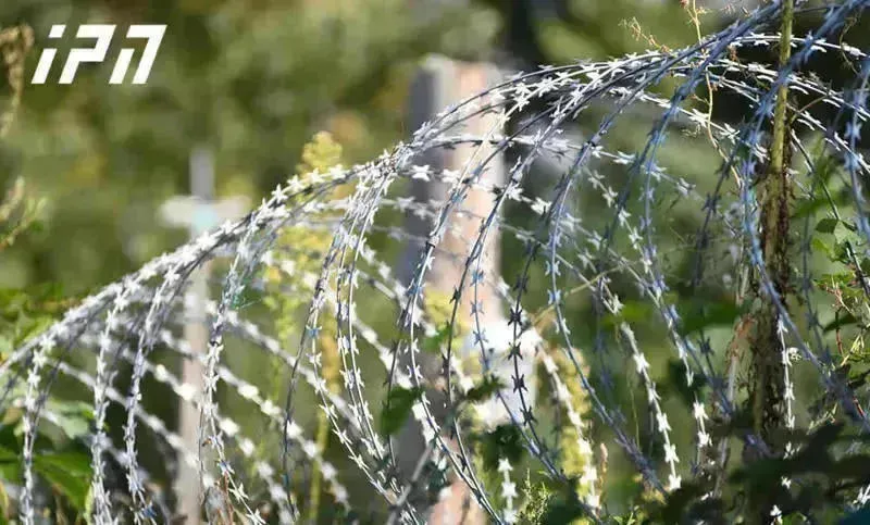 So-called security service of occupied Tskhinvali on killing of Georgian citizen: The border violators were drunk and resisted the border guards during their arrest