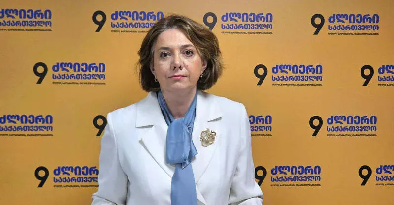 პარტიების აკრძალვა ქართულ სახელმწიფოსა და ქართველ ხალხზე რუსეთის ჰიბრიდული თავდასხმის შემდგომი ეტაპია, ხოლო იარაღი - საქართველოს საკონსტიტუციო სასამართლო