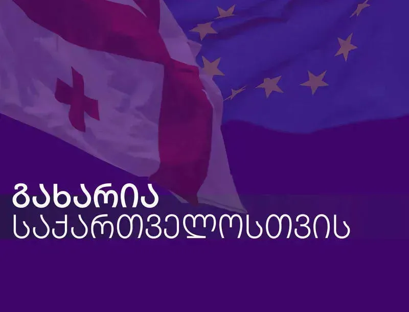 პარტია „გახარია საქართველოსთვის“ საკონსტიტუციო სასამართლოს მიმართავს, მათი კონსტიტუციურობის შეფასება ცალკე საქმედ განიხილოს