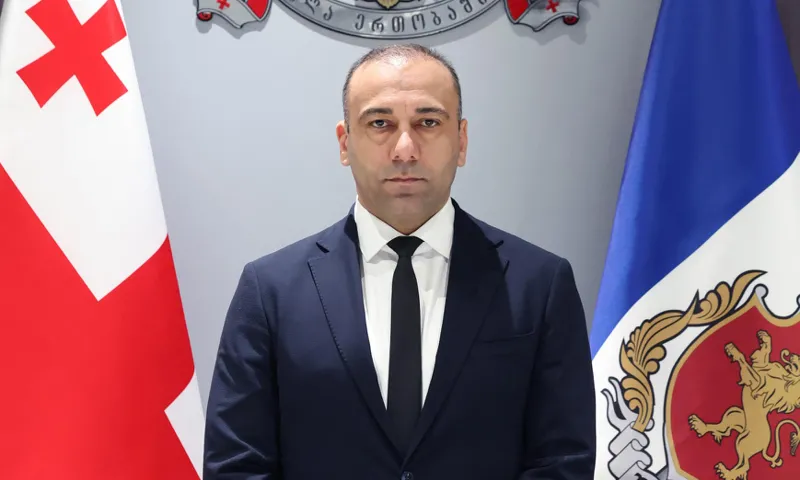 შინაგან საქმეთა მინისტრს ახალი მოადგილე ჰყავს