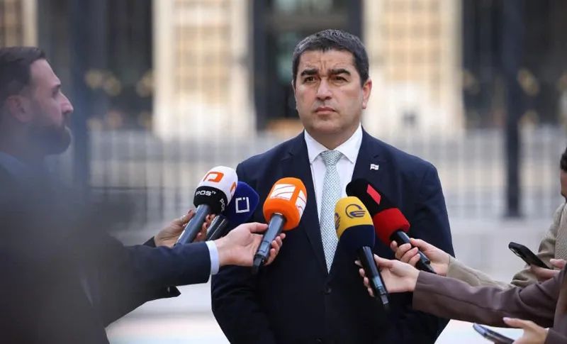 Shalva Papuashvili: The Adenauer Foundation has a political mission and, unable to carry it out, no longer sees a reason to remain in Georgia - the government offered it the option of removing political projects and would have approved other activities