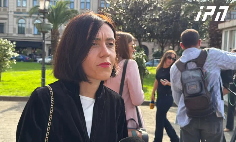 ანა წითლიძე პარტიების აკრძალვის შესახებ სარჩელზე - მოქალაქეებმა უნდა ნახონ, რომ ეს არის აბსურდი, რომელსაც  არანაირი კავშირი არ აქვს სამართლებრივ ნორმებთან