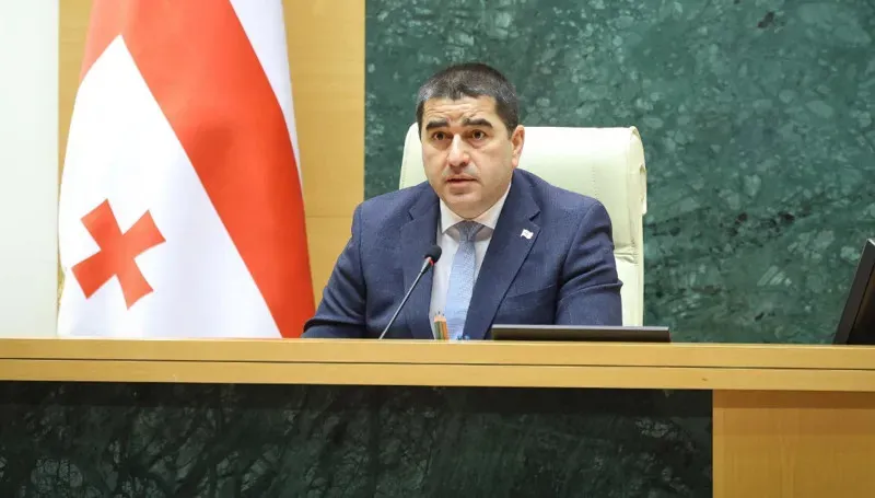 Shalva Papuashvili to Sopho Khorguani: “You can say ‘Speaker of Parliament’ when you greet me!"