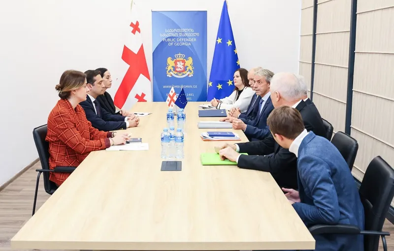 საქართველოს სახალხო დამცველი აღმოსავლეთ და ცენტრალური ევროპისა და ცენტრალური აზიის ნარკოპოლიტიკის კომისიის წარმომადგენლებს შეხვდა