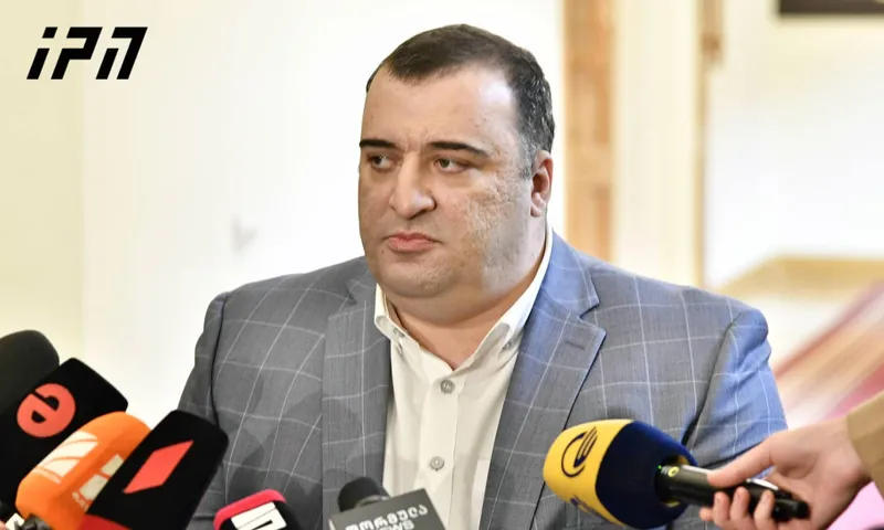 Рати Ионатамишвили - Из-за эпидситуации наркологическую проверку пройдут только уже избранные члены парламента