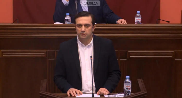 Комитет парламента по защите прав человека рассматривает кандидатуру Левана Иоселиани на пост омбудсмена