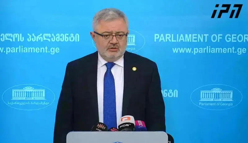 დავით უსუფაშვილი NDI-ის სადამკვირვებლო მისიასთან შეხვედრაზე - ამ ადამიანების ჩამოსვლით დასტურდება ჩვენი ბრალდებები - მათ დაინახეს, რომ საქართველოში სიტუაცია მძიმეა და 2 თვით ადრე ჩამოსვლას აზრი არ აქვს