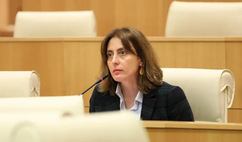 ხატია დეკანოიძე ფინანსთა მინისტრს - იმ შეკითხვას პასუხობთ, რომელიც მოგწონთ - აკრიტიკებთ სხვადასხვა პარტიის პროგრამებს, თქვენ კი იმ პარტიიდან ხართ წარმოდგენილი, რომელიც თითო სოფელს 5 მილიონს და და უფასო ფულს ჰპირდებოდა
