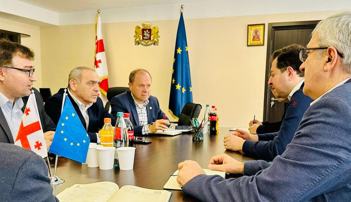 დევნილთა, ეკომიგრანტთა და საარსებო წყაროებით უზრუნველყოფის სააგენტოს წარმომადგენლებთან სამუშაო შეხვედრა გაიმართა