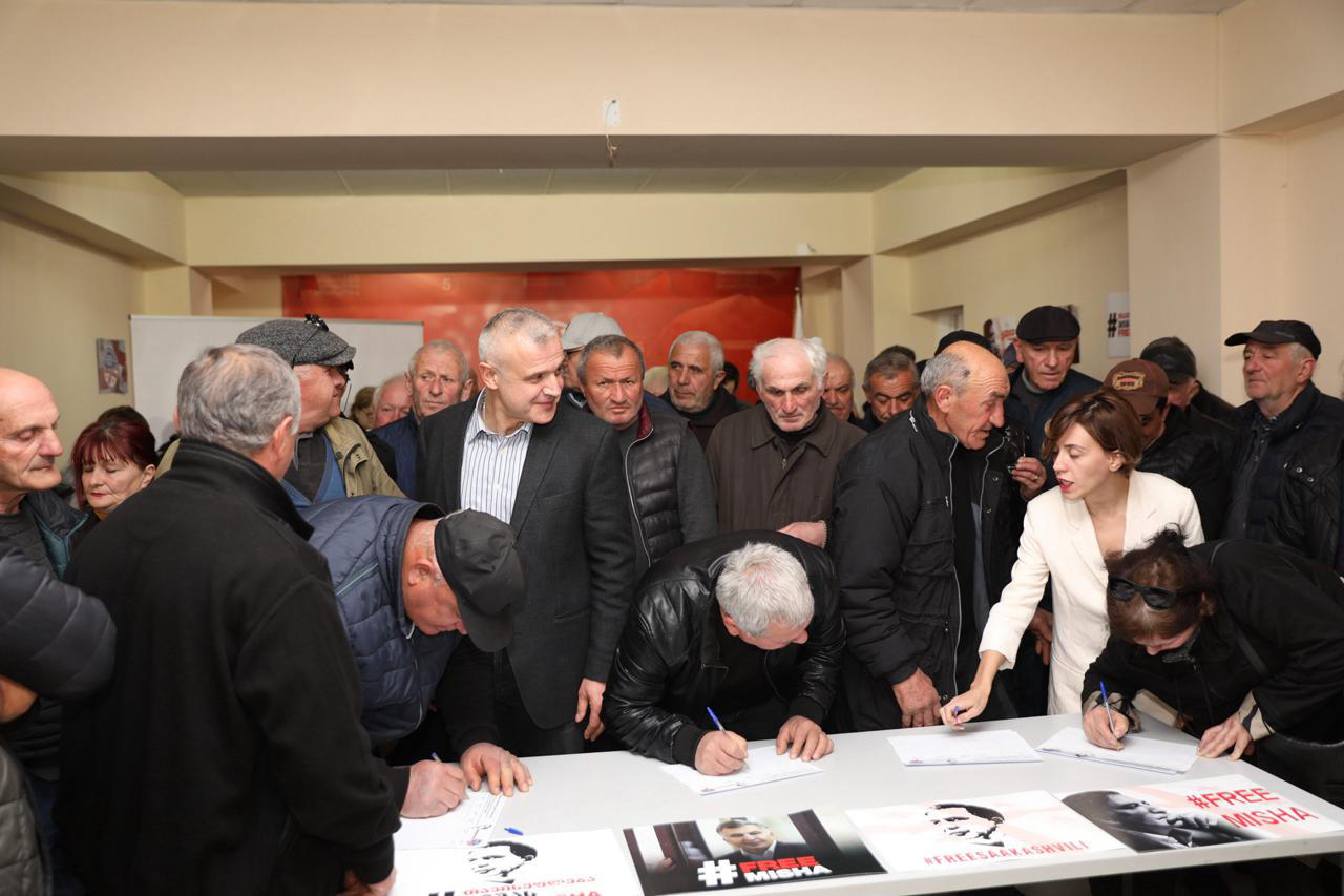 ანა წითლიძე - მიხეილ სააკაშვილის გათავისუფლების მოთხოვნით რიგი დგას - ეს უნდა იყოს დამატებითი მოტივაცია პრეზიდენტისთვის, რომ გაათავისუფლოს