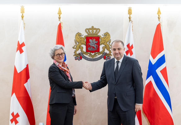 თავდაცვის მინისტრმა ნორვეგიის ელჩთან შეხვედრა გამართა