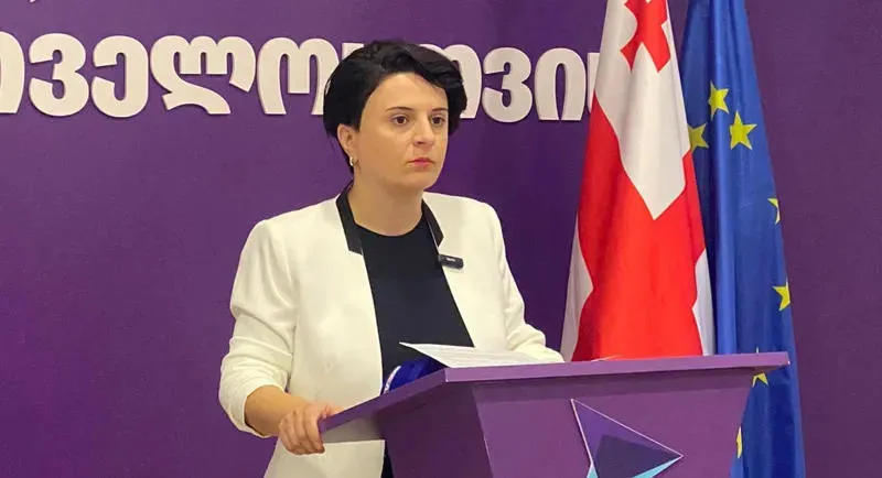 ნათია მეზვრიშვილი - ხელისუფლება ზუსტად ისე გვებრძვის დღეს, როგორც 2012 წელს „ნაციონალური მოძრაობა“ ებრძოდა „ოცნებას“