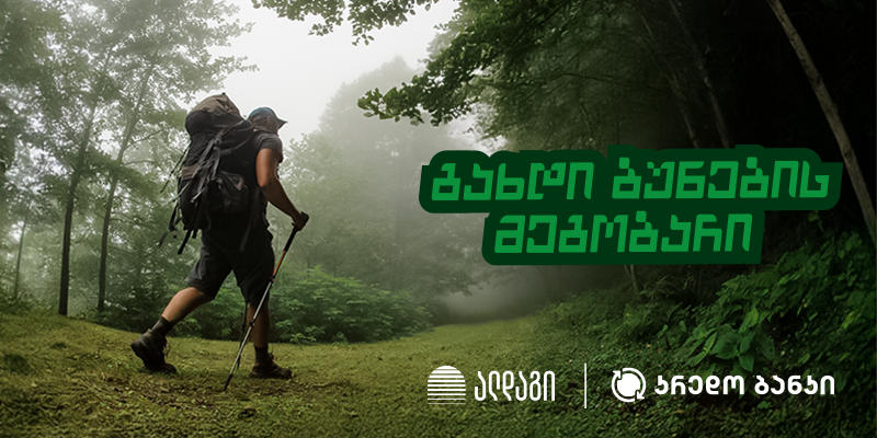 Insurance Company Aldagi has partnered with Credo Bank on its Green Project