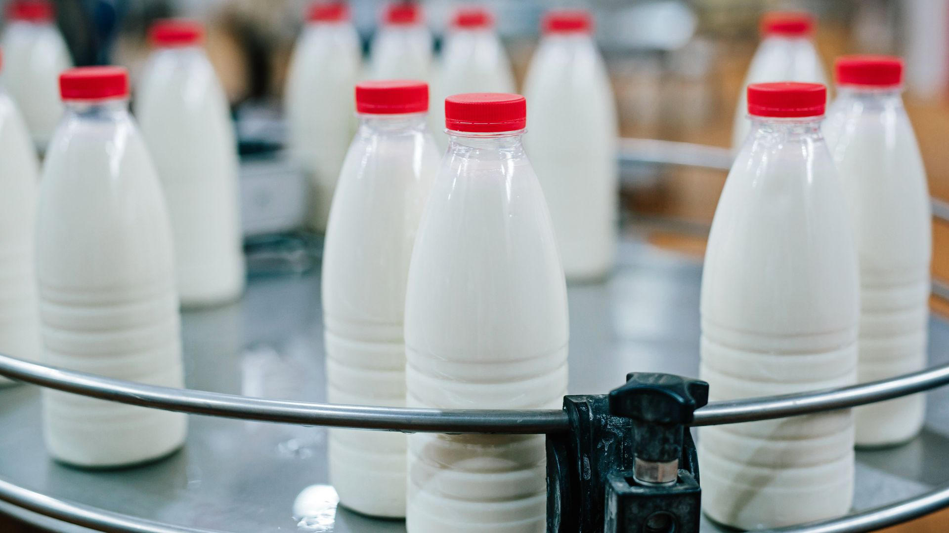 According to Russian reports, two Georgian dairy processing enterprises will be able to enter the Russian market